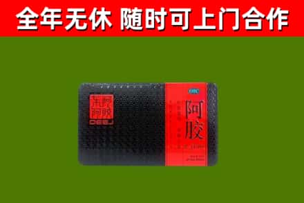东阳市回收阿胶
